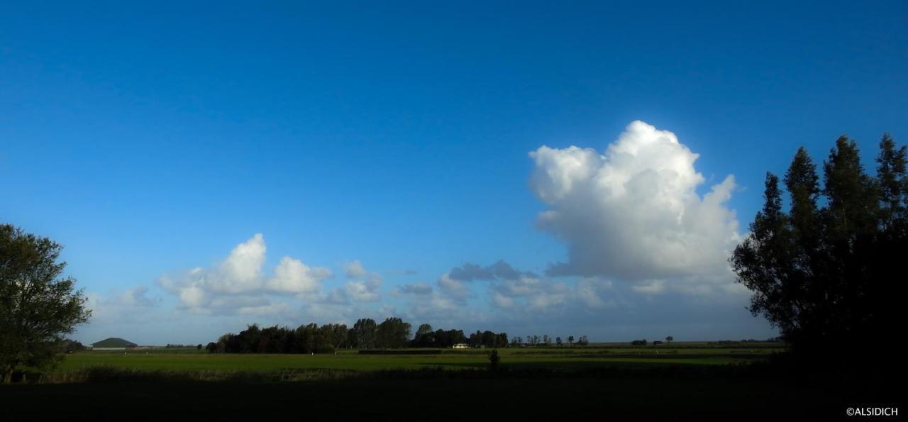 Bed and Breakfast The Wee White Hoose Oosternijkerk Esterno foto