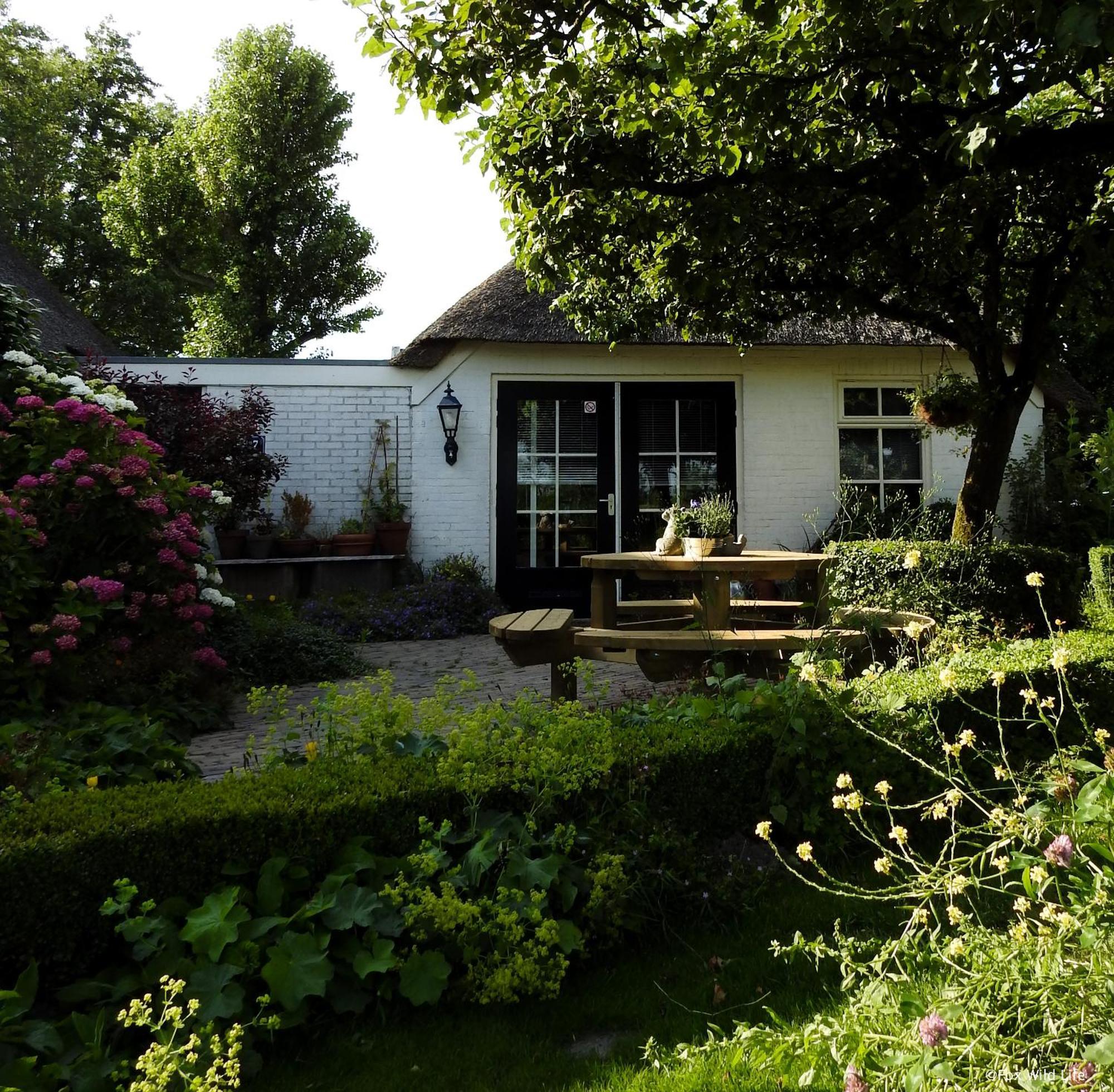 Bed and Breakfast The Wee White Hoose Oosternijkerk Esterno foto