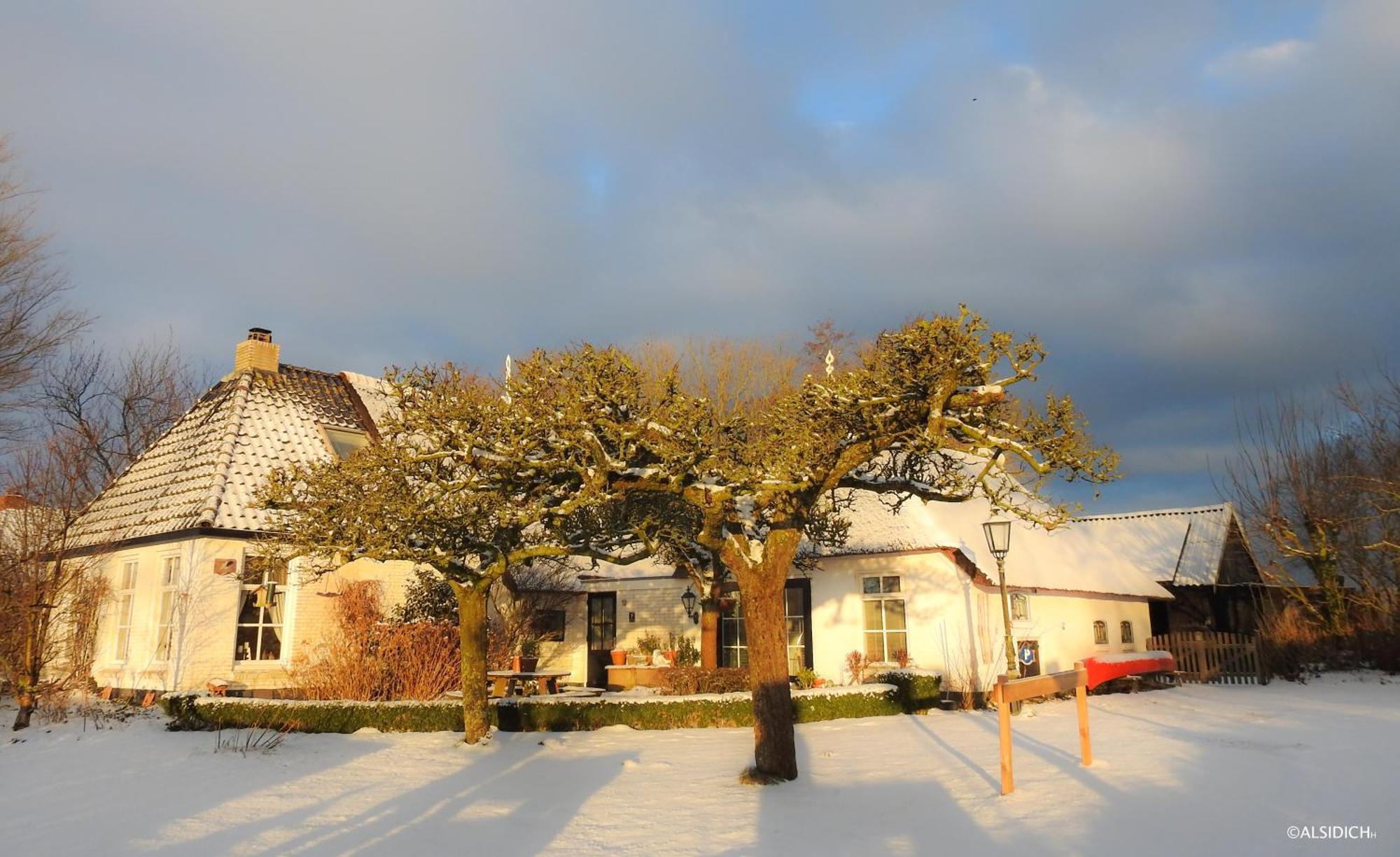 Bed and Breakfast The Wee White Hoose Oosternijkerk Esterno foto